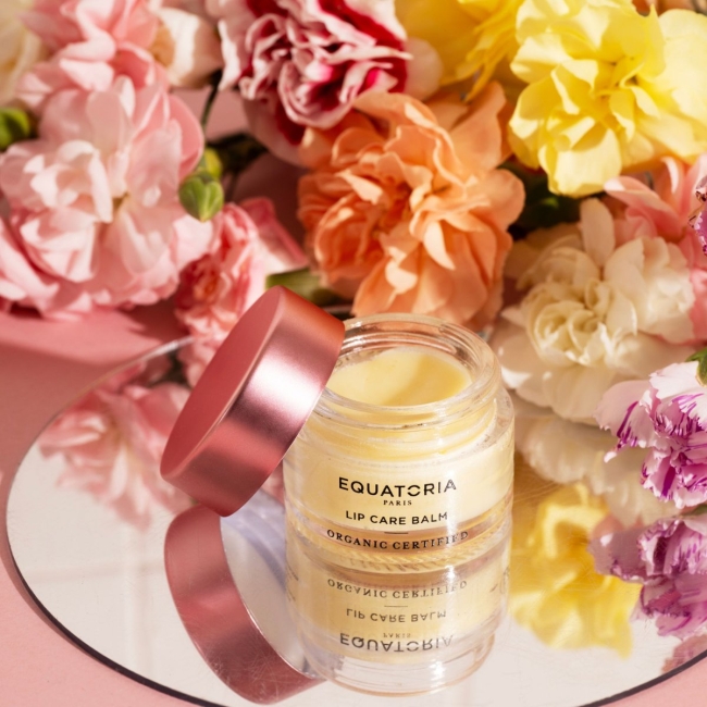 BAUME DE SOIN LÈVRES CERTIFIÉ COSMOS*